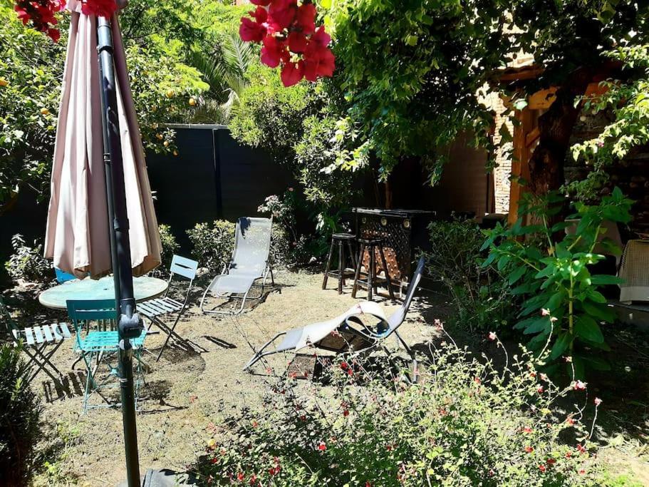 Charmante Maison De Ville Avec Jardin Perpignan Ngoại thất bức ảnh